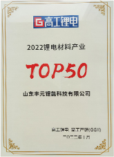 中國電池行業(yè)優(yōu)秀供應(yīng)商